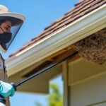 découvrez des méthodes efficaces et sécurisées pour éliminer un nid de guêpes sous votre toit, protéger votre maison et assurer la sécurité de votre famille.